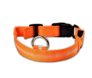 FurHuggies LED Dog Collar™