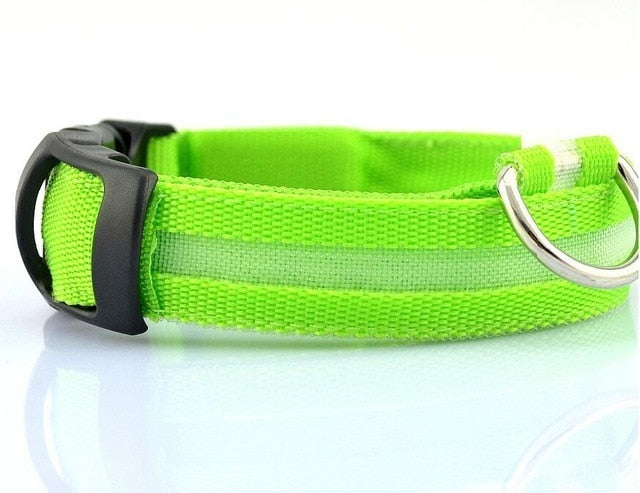 FurHuggies LED Dog Collar™