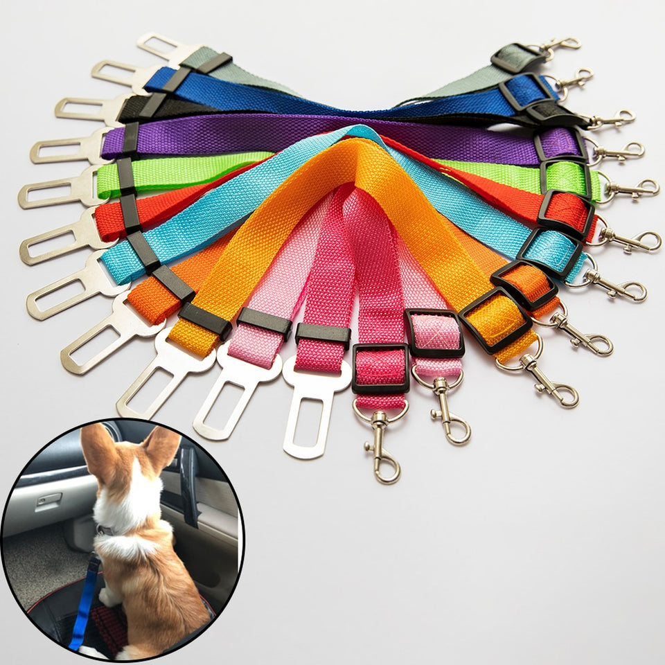 FurHuggies Adjustable Car Leash™